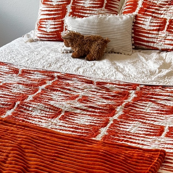 Burnt orange patterned bet set - Picture 2 of 2